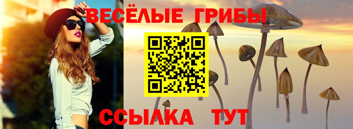 Городец  Псилоцибиновые грибы ЛСД  Вход с VPN 